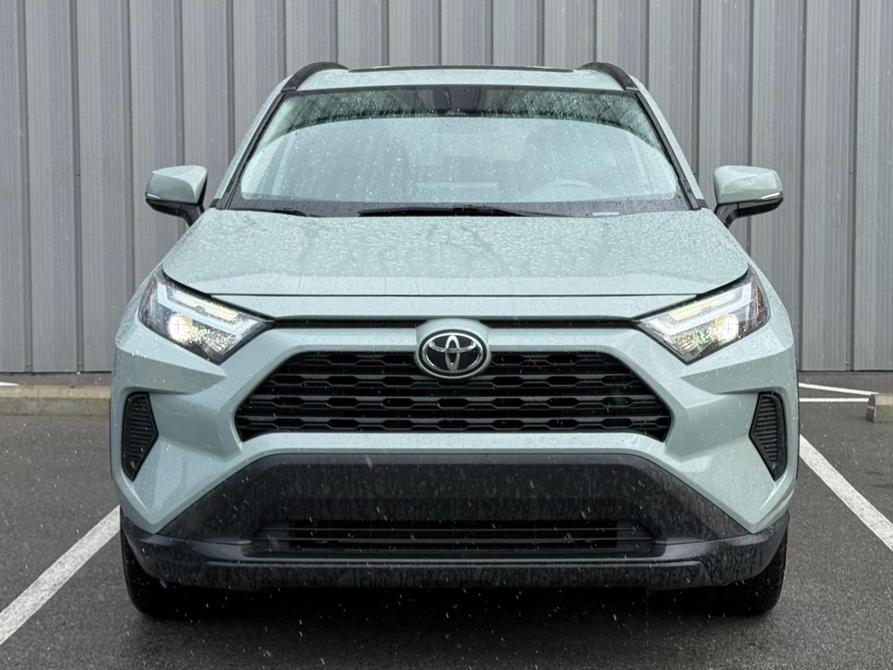 Toyota RAV4 XLE AWD (Natl) 2023