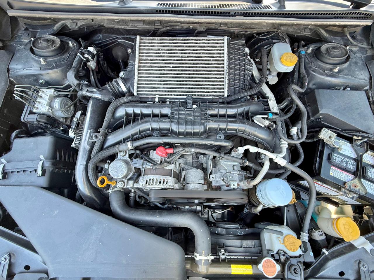 Subaru WRX Premium Manual 2020