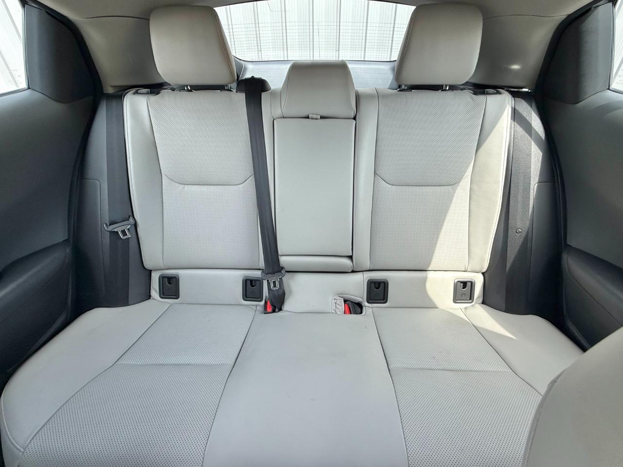 Toyota Prius Limited (Natl) 2023