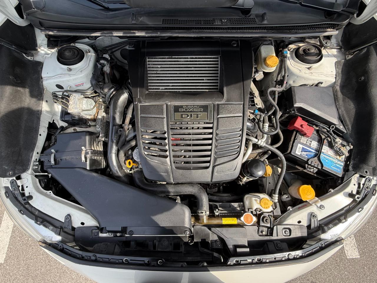 Subaru WRX Manual 2021