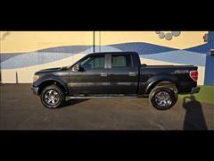 2010 Ford F-150 