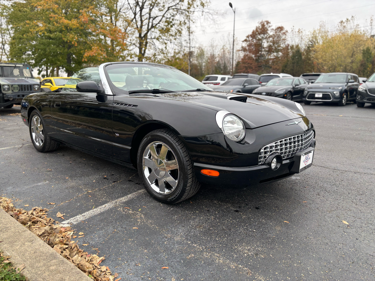 Ford Thunderbird Deluxe with removable top 2003 Ford Thunderbird Deluxe with removable top 2003