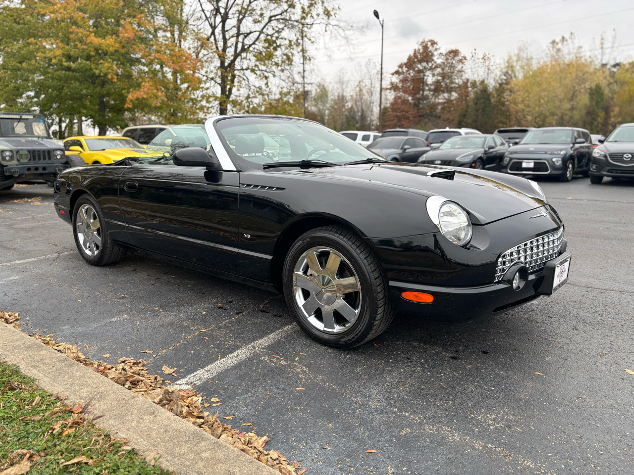 Ford Thunderbird Deluxe with removable top 2003 Ford Thunderbird Deluxe with removable top 2003
