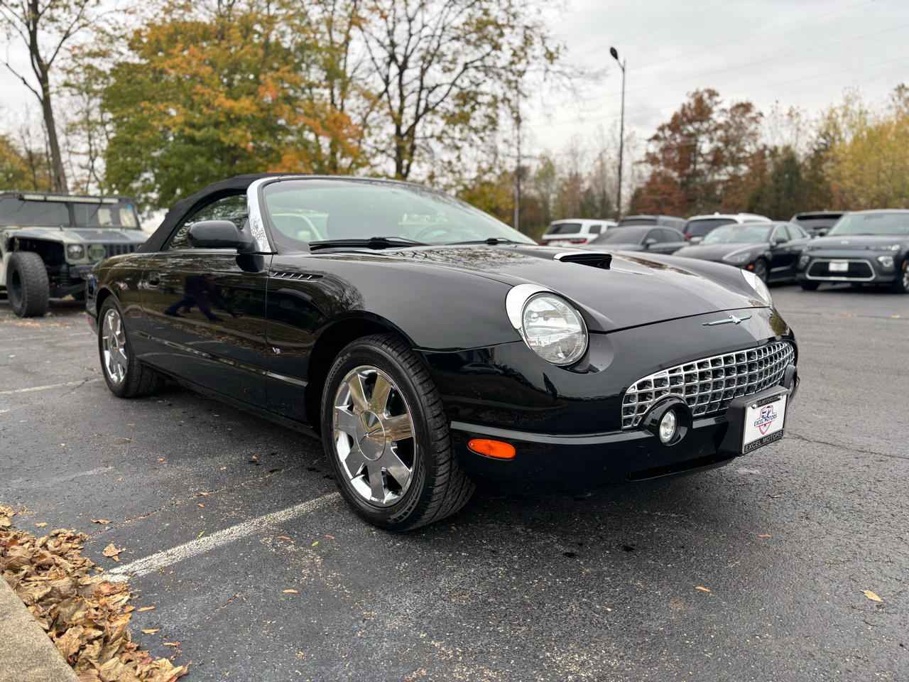 Ford Thunderbird Deluxe with removable top 2003 Ford Thunderbird Deluxe with removable top 2003