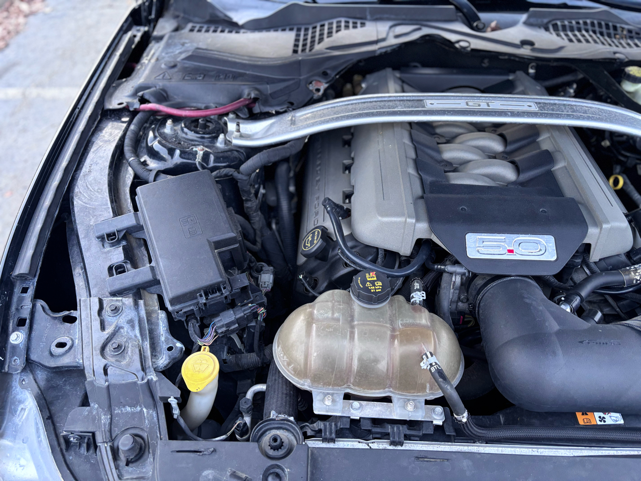 Ford Mustang GT Coupe 2017