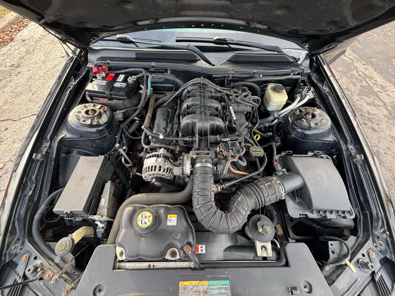 Ford Mustang V6 Premium Coupe 2008