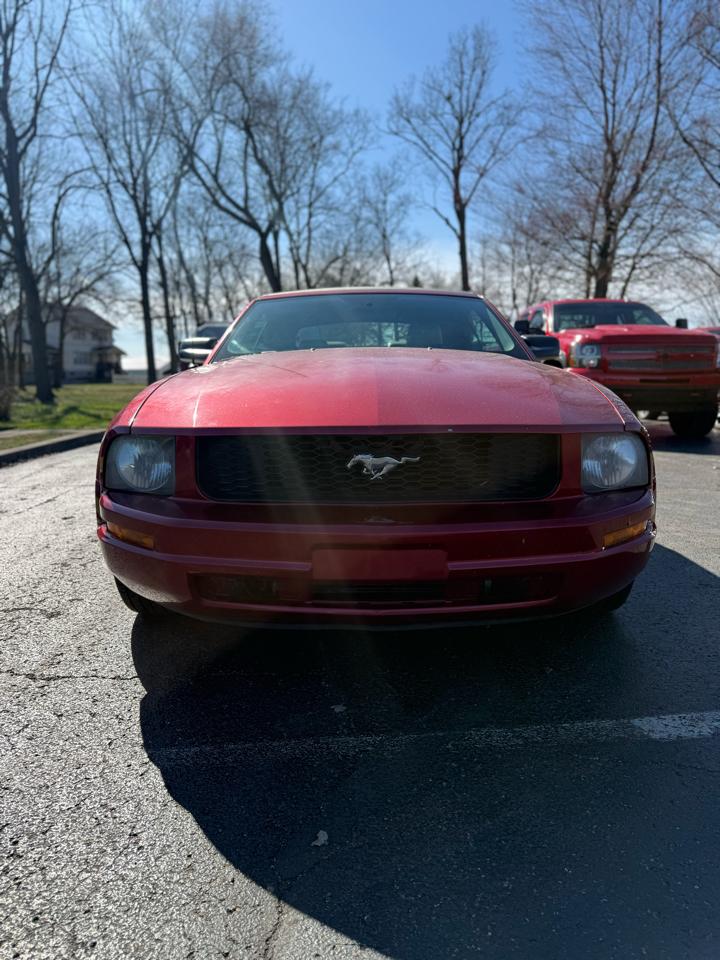 Ford Mustang V6 Deluxe Convertible 2007