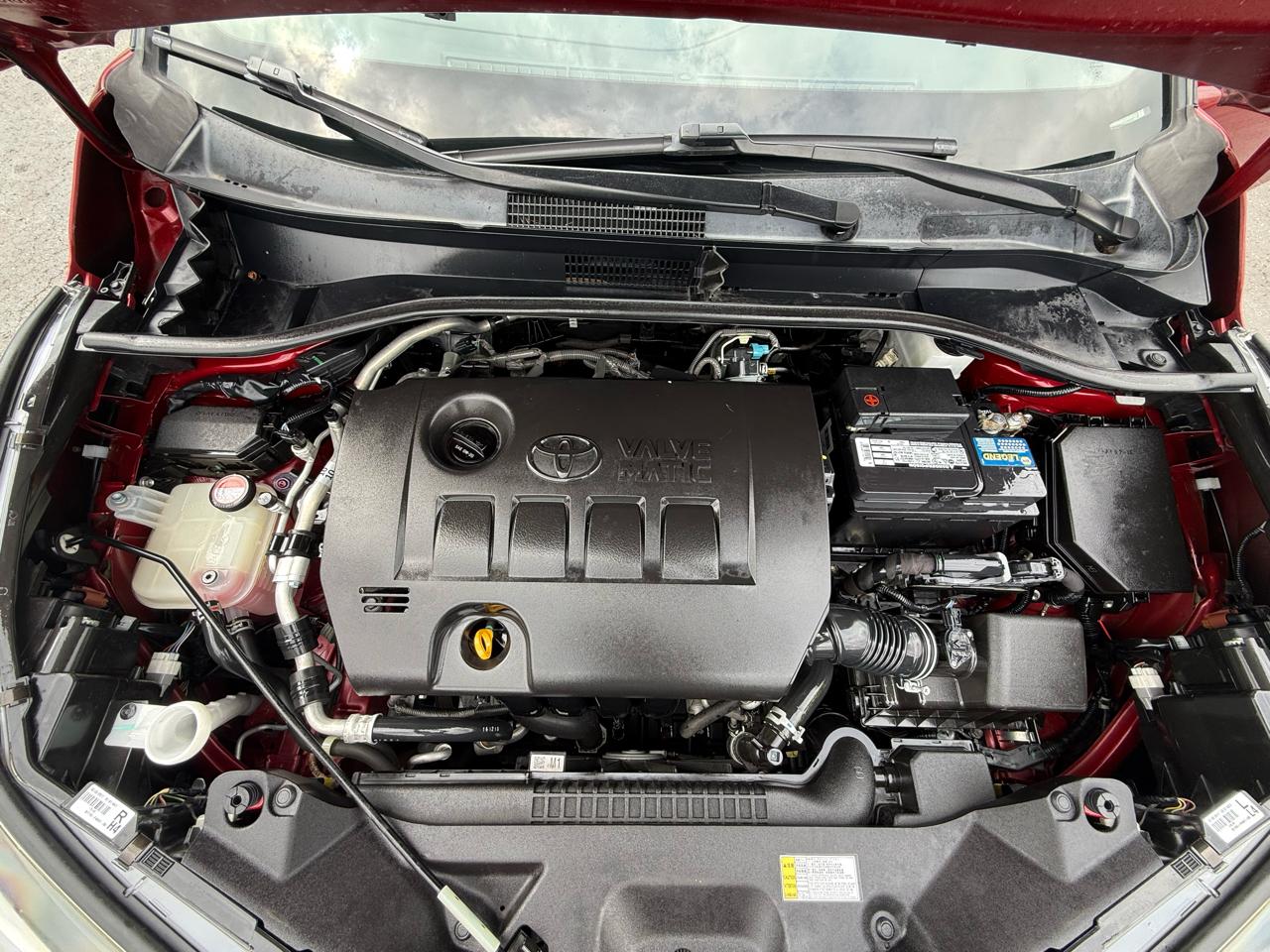 Toyota C-HR XLE 2018