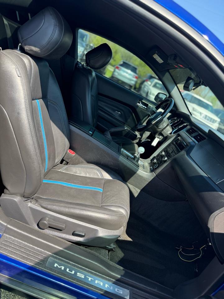 Ford Mustang GT Coupe 2013
