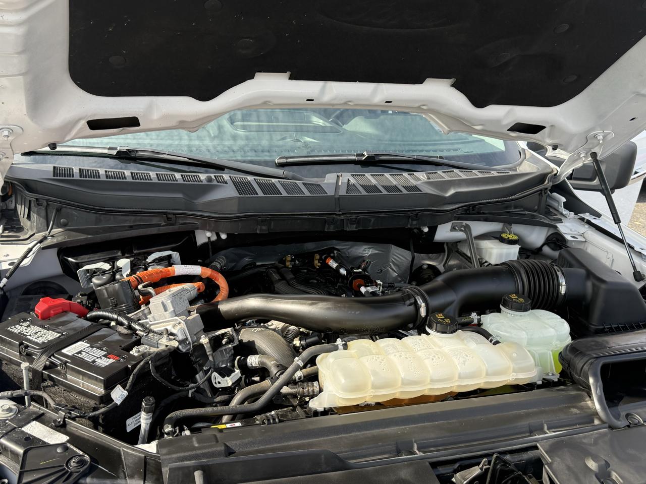 Ford F-150 XLT SuperCrew 4WD 2024