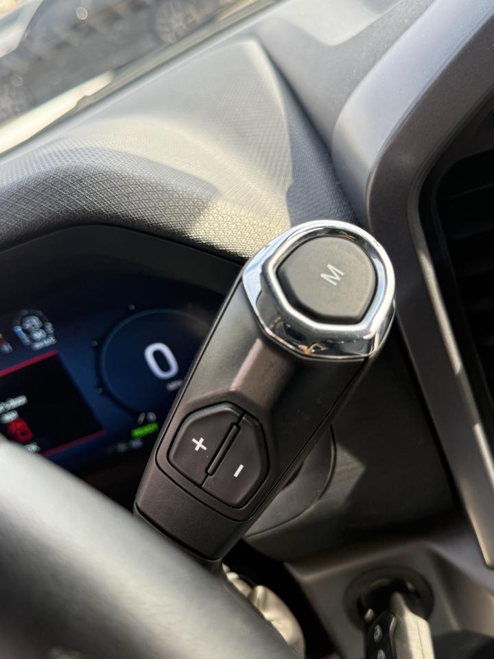 Ford F-150 XLT SuperCrew 4WD 2024
