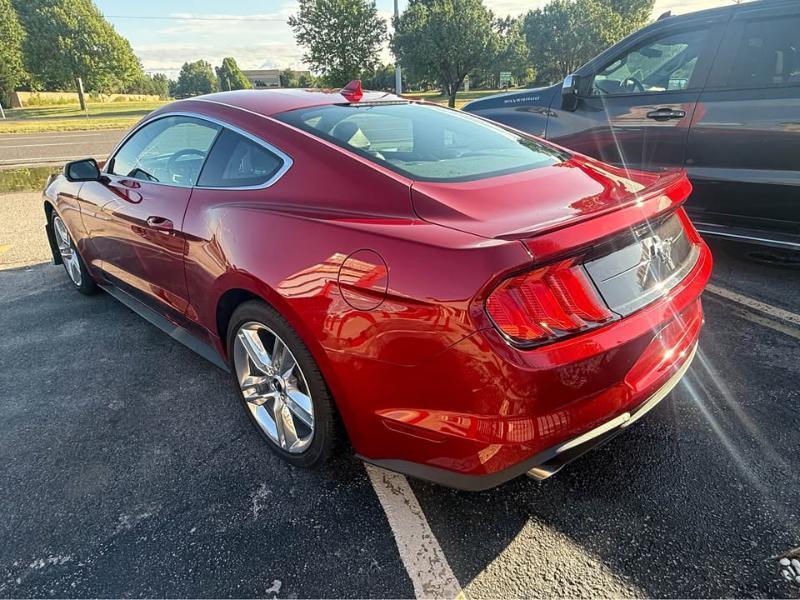 Ford Mustang EcoBoost Coupe 2020