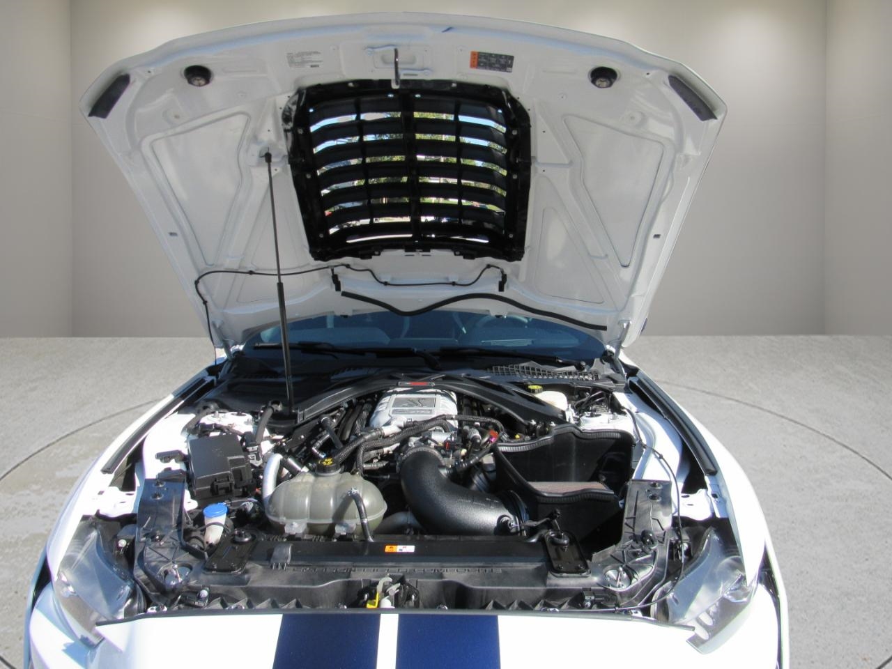 Ford Mustang  2020 Ford Mustang  2020