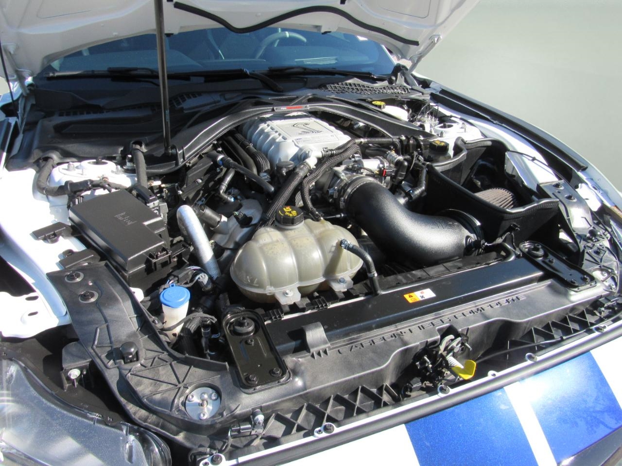 Ford Mustang  2020 Ford Mustang  2020