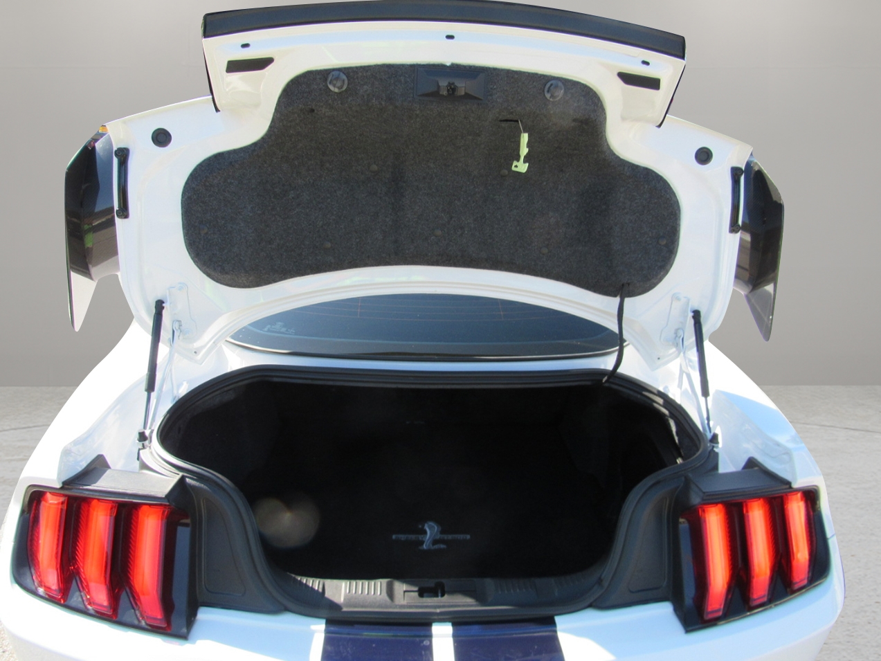 Ford Mustang  2020 Ford Mustang  2020