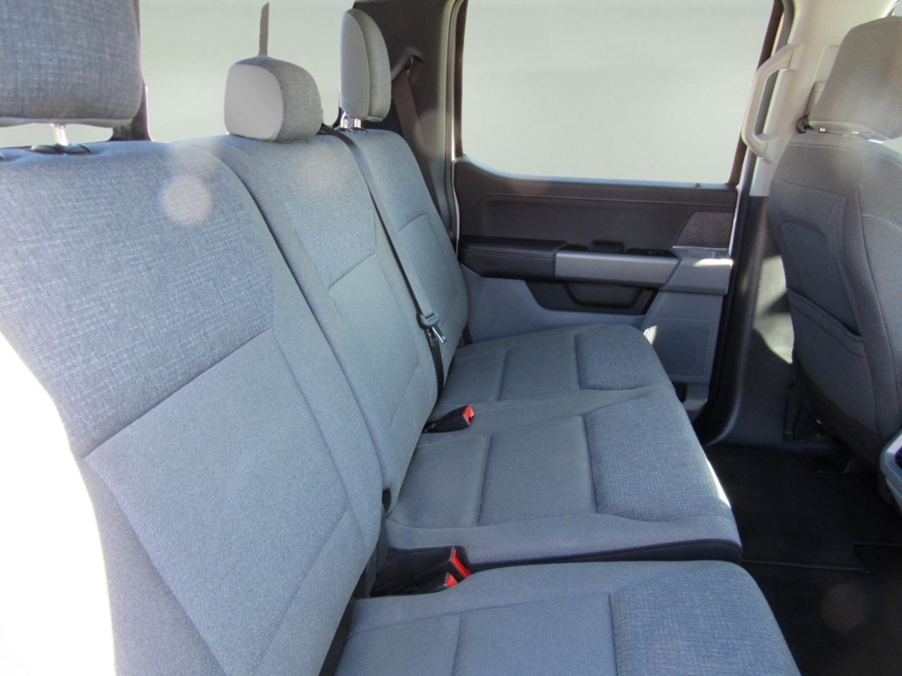 Ford F-150 XLT SuperCrew 4WD 2024