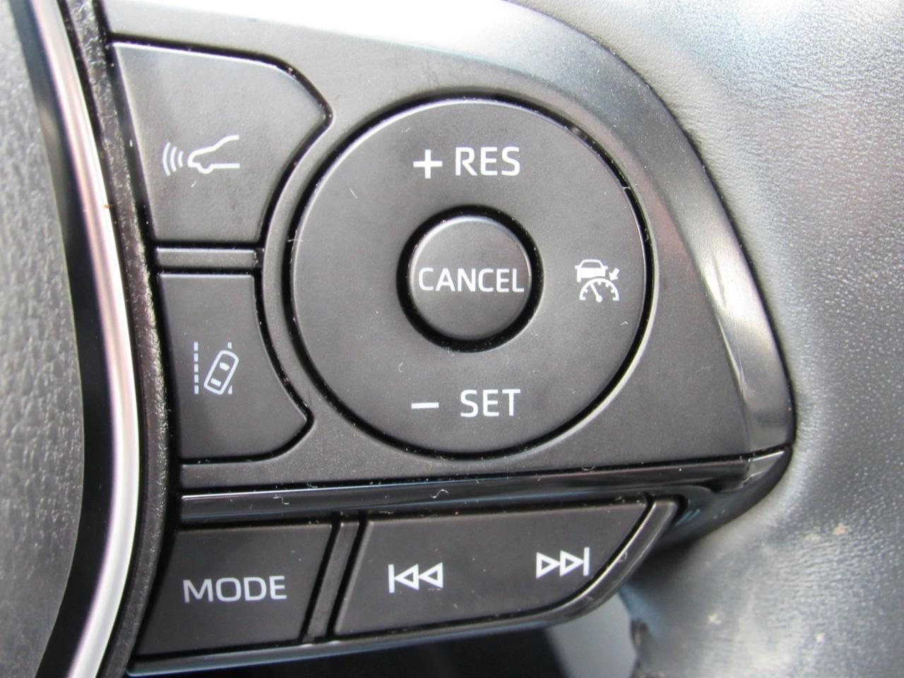 Toyota Venza XLE AWD (Natl) 2021