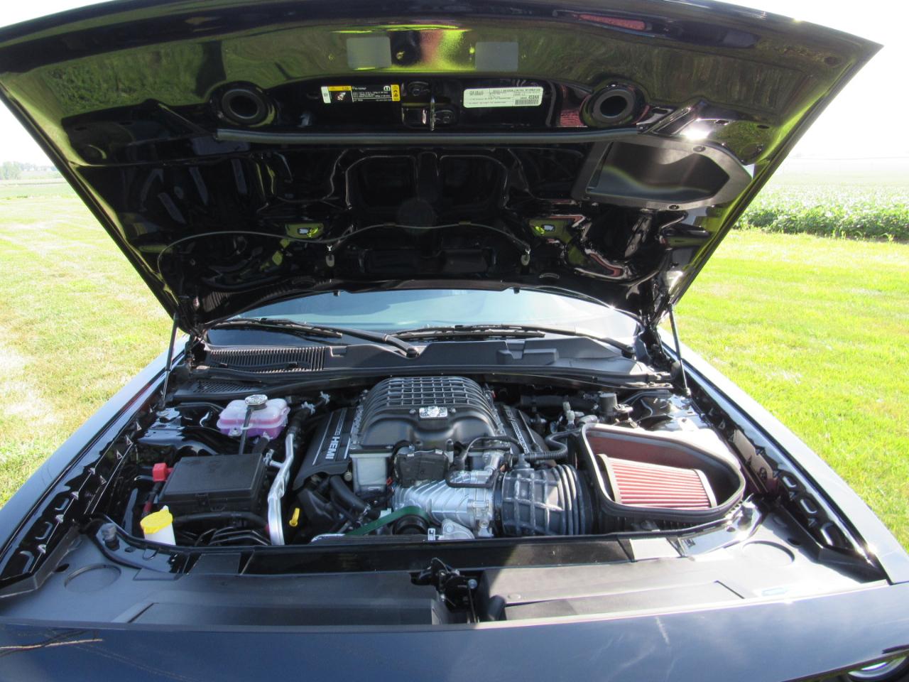 Dodge Challenger  2023