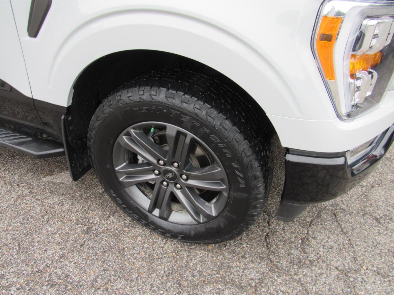 Ford F-150 XLT SuperCrew 4WD 2023