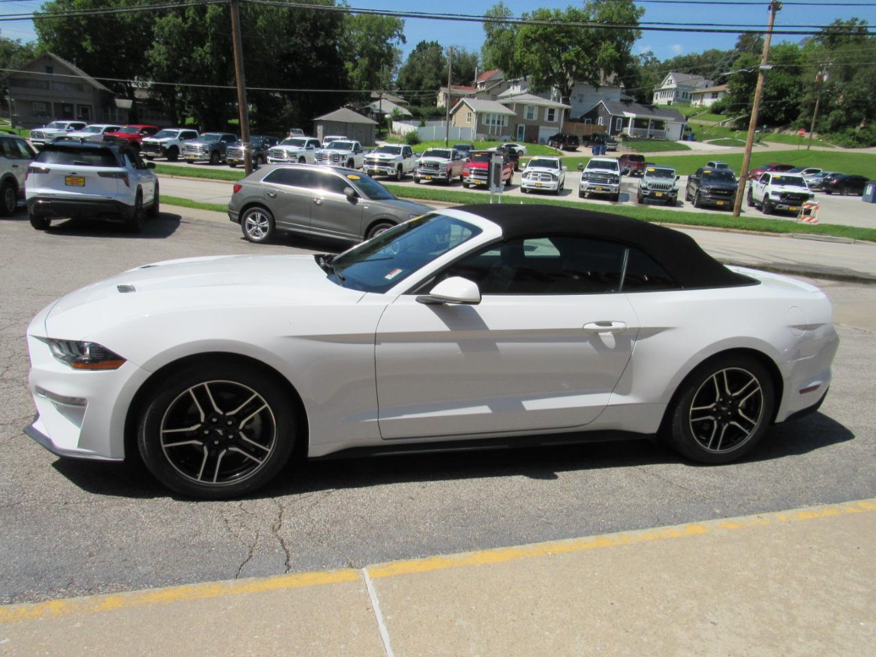 Ford Mustang EcoBoost Convertible 2022