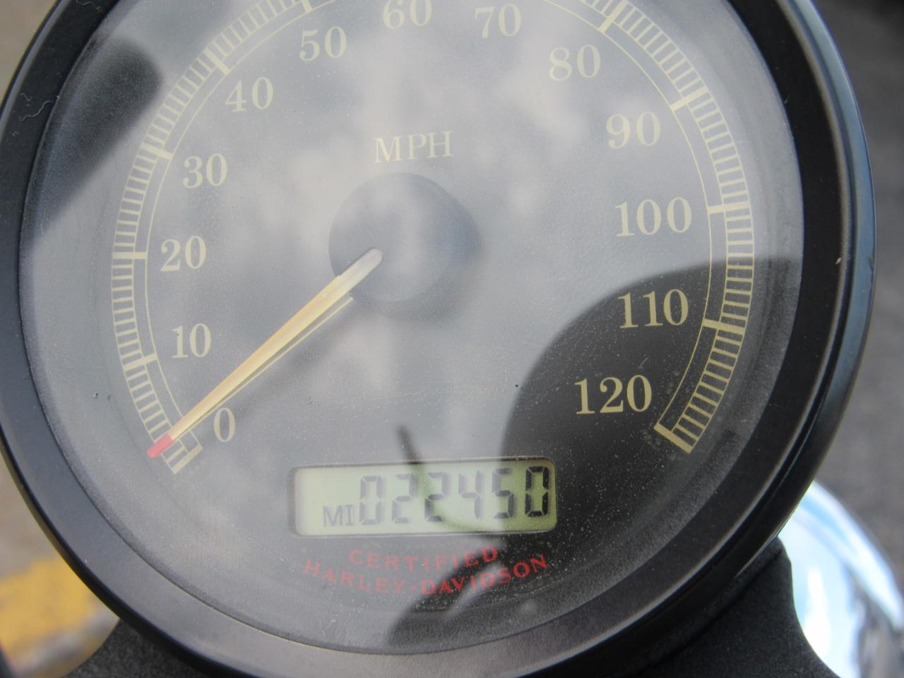 Harley-Davidson XL883  2006