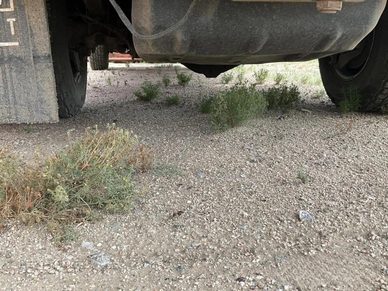 Chevrolet Silverado 3500 4WD 2004