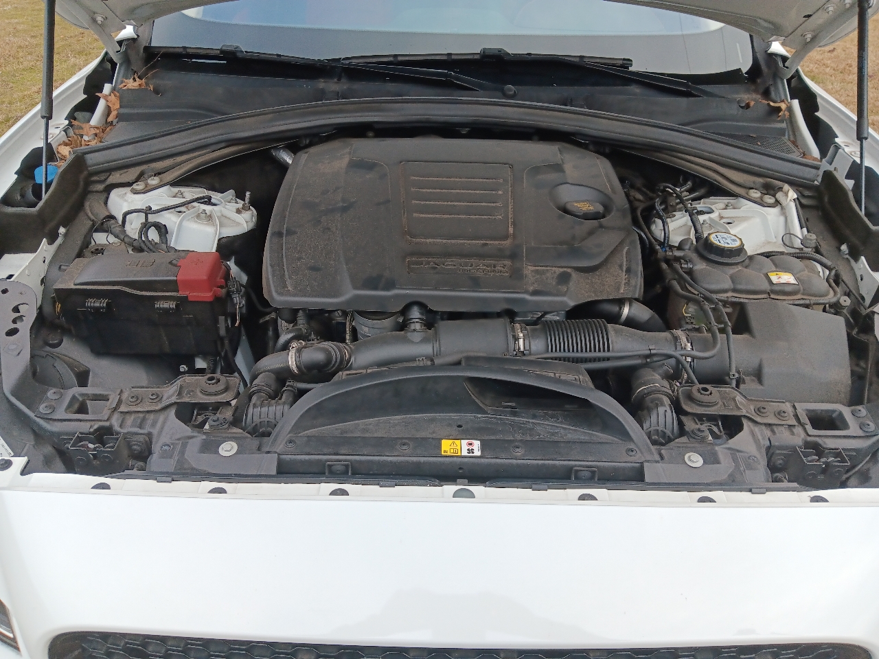 Jaguar F-Pace S 4D SUV 2020