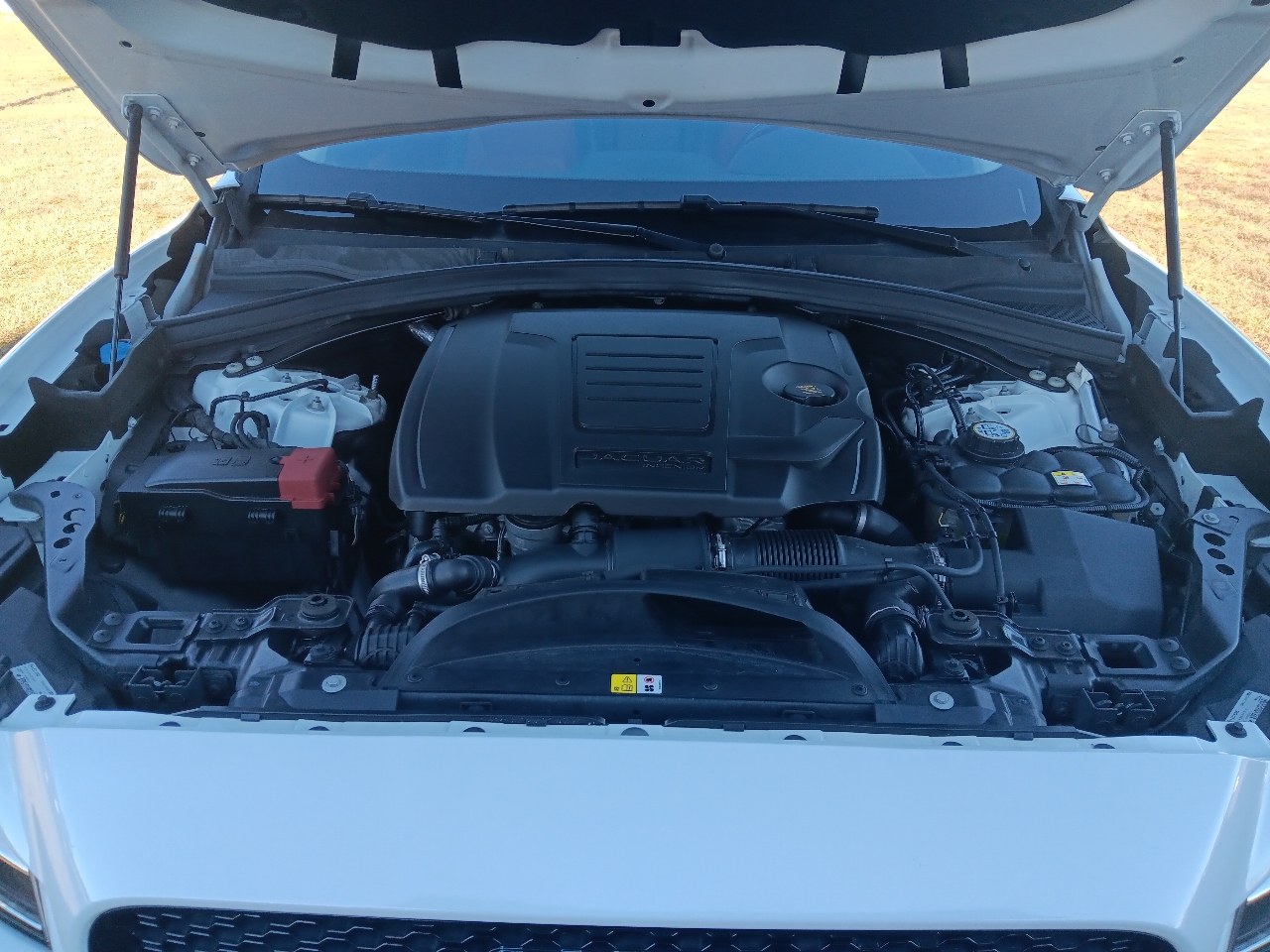 Jaguar F-Pace S 4D SUV 2020