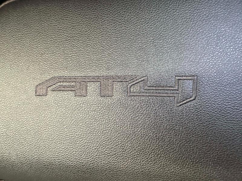 GMC Sierra 1500 AT4 Crew Cab 4WD 2019