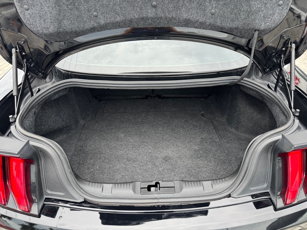 Ford Mustang GT Fastback 2018 Ford Mustang GT Fastback 2018