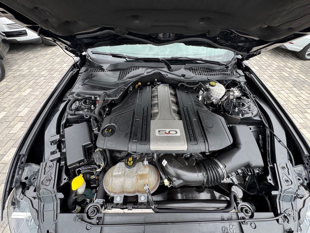 Ford Mustang GT Fastback 2018 Ford Mustang GT Fastback 2018