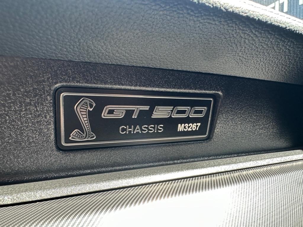 Ford Mustang Shelby GT500 Fastback 2021