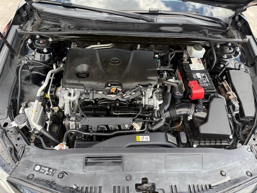 Toyota Camry XLE Auto (Natl) 2019