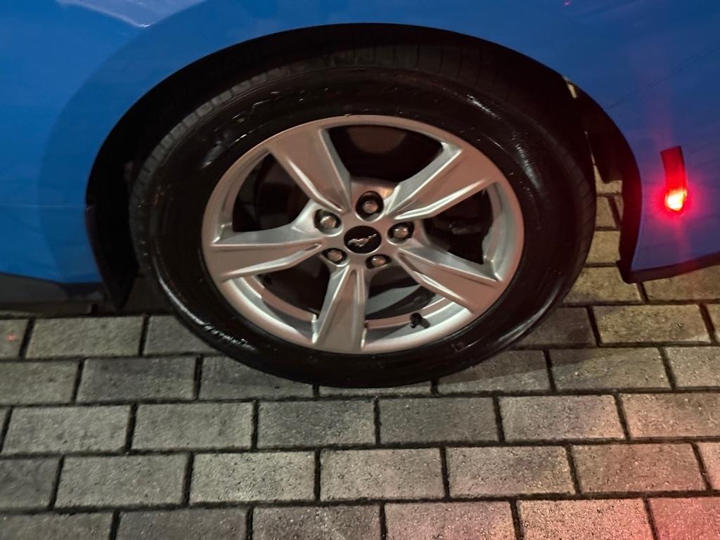 Ford Mustang photo 28