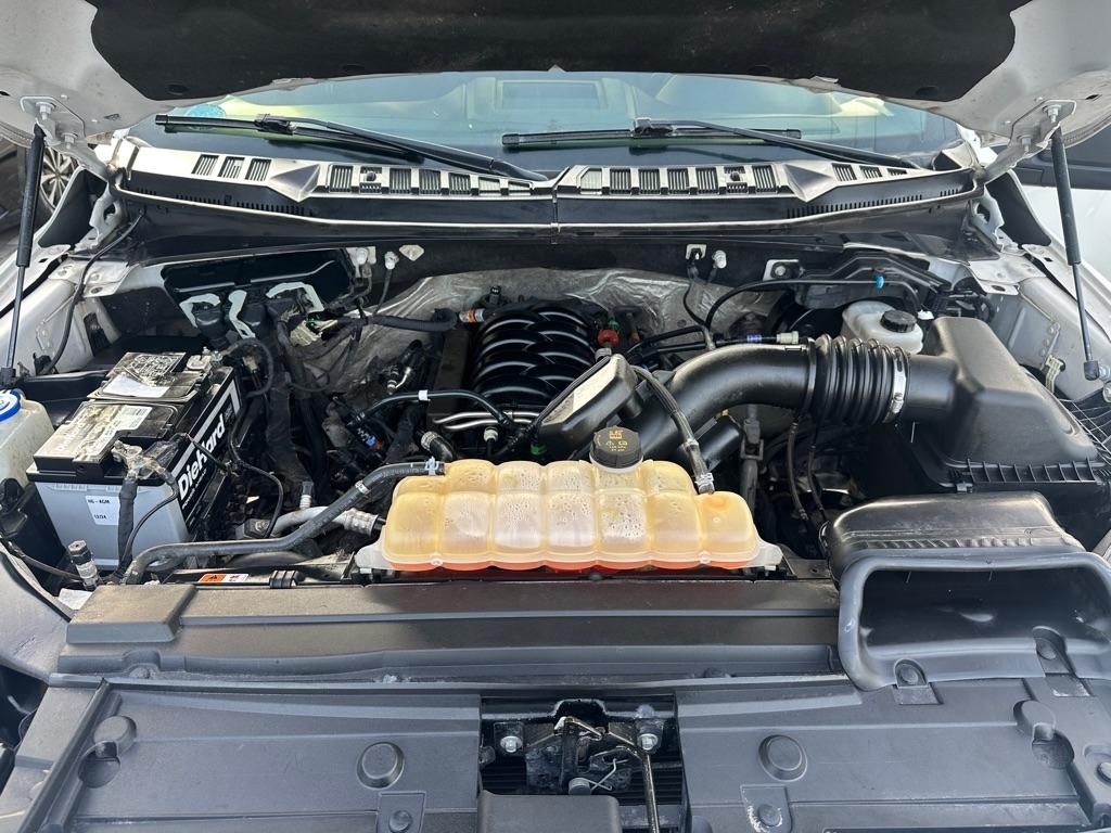 Ford F-150 XLT SuperCrew 6.5-ft. Bed 4WD 2019