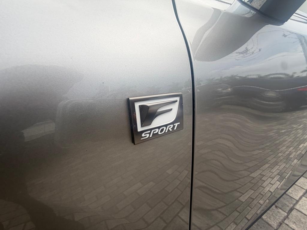 Lexus NX photo 6
