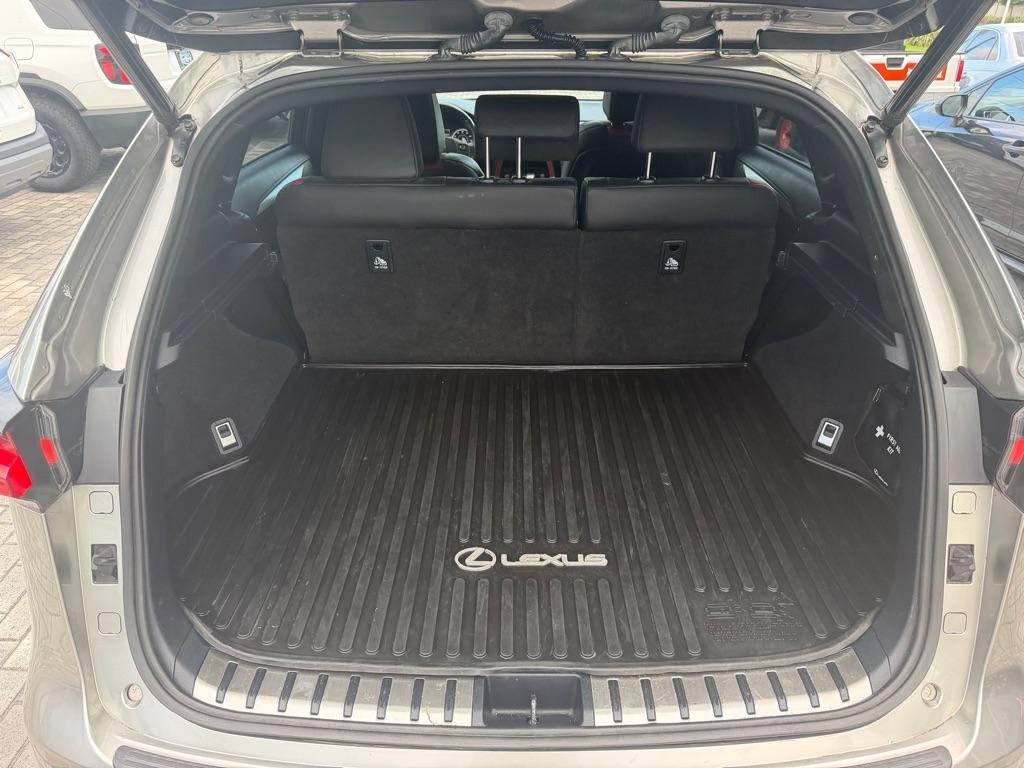 Lexus NX photo 9