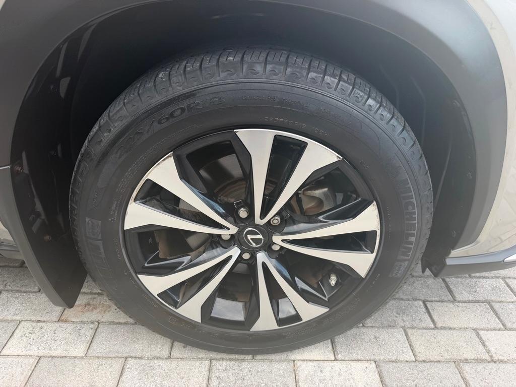 Lexus NX NX 300 F SPORT AWD 2020