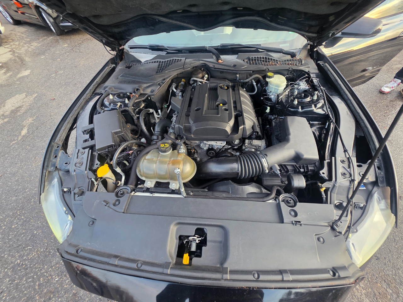 Ford Mustang 2dr Fastback EcoBoost 2015