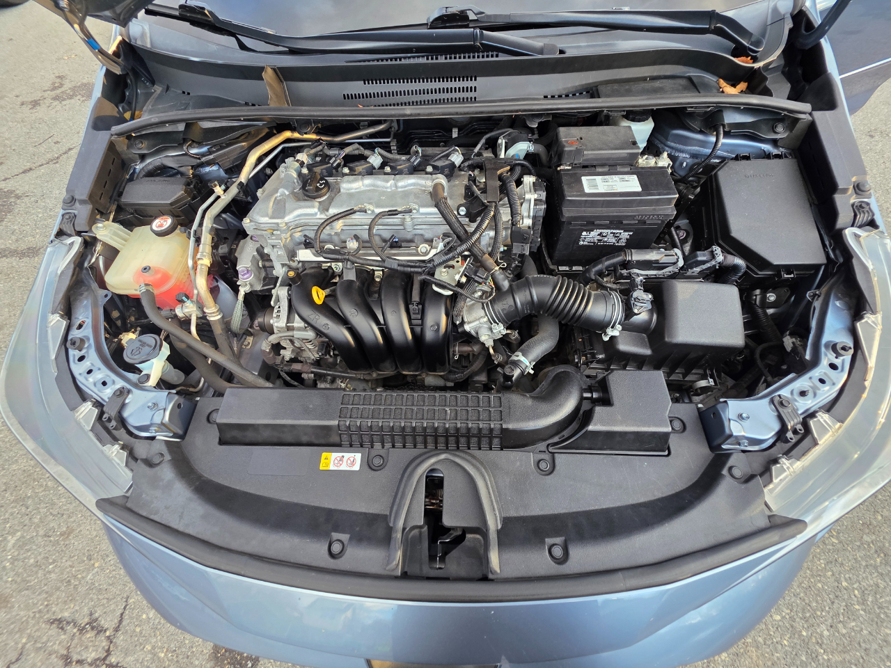 Toyota Corolla LE CVT (Natl) 2021