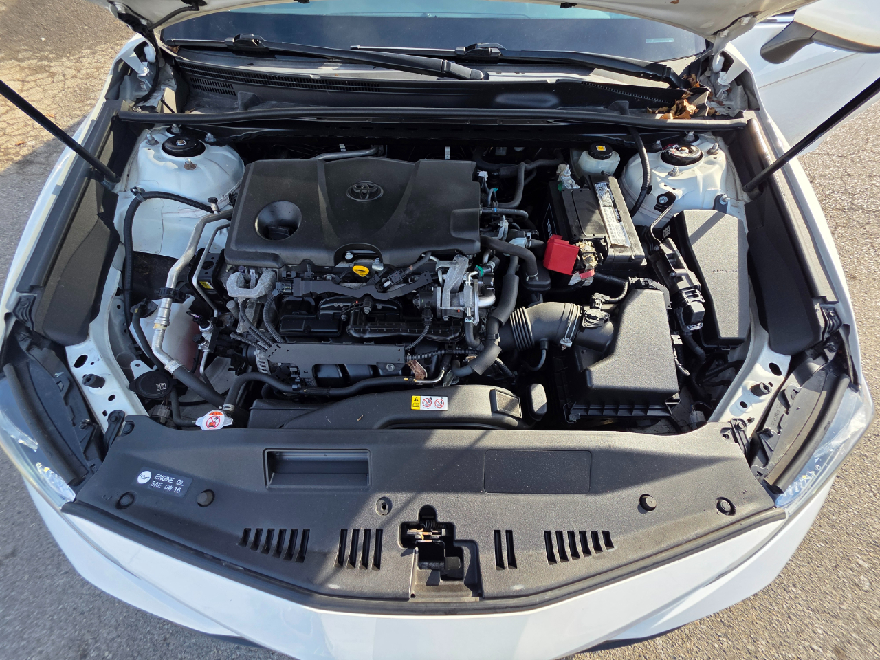 Toyota Camry XLE Auto (Natl) 2018