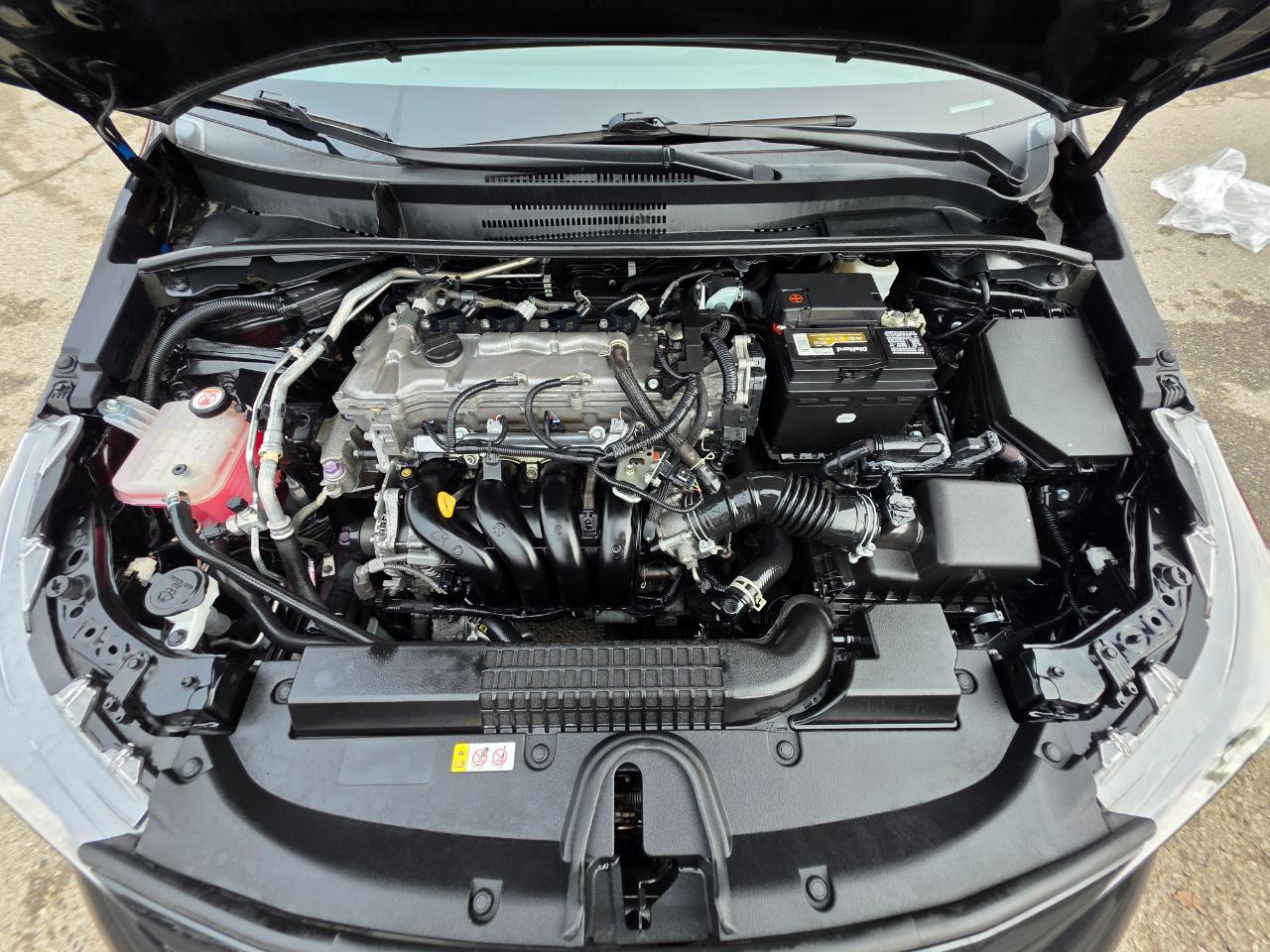 Toyota Corolla LE CVT (Natl) 2021