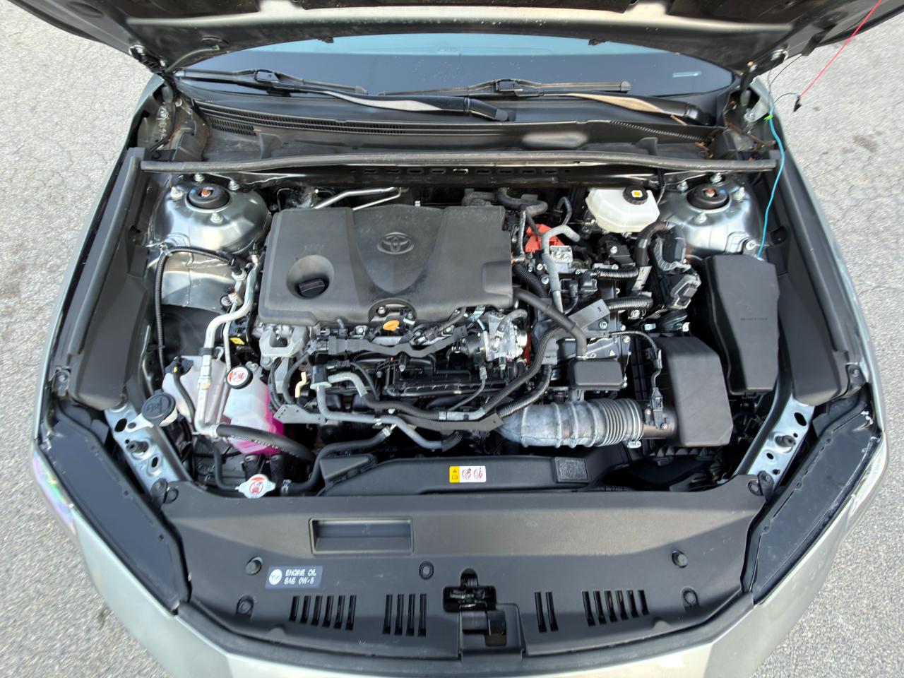 Toyota Camry XLE (Natl) 2025