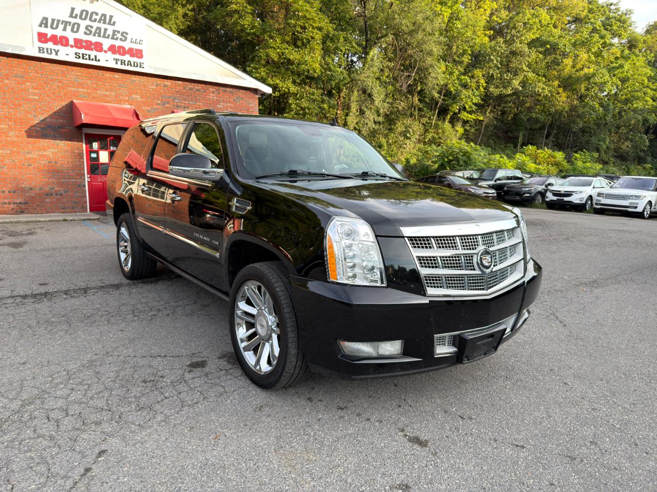 Cadillac Escalade ESV AWD 4dr Platinum Edition 2010