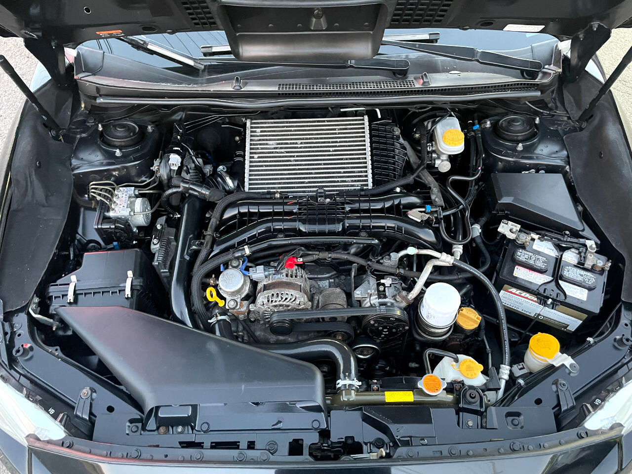 Subaru WRX Premium 6M 2017