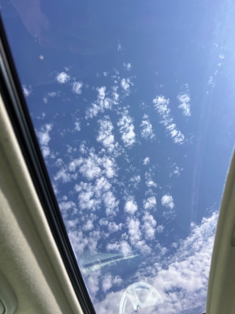 Toyota Sienna XLE 2005 Toyota Sienna XLE 2005