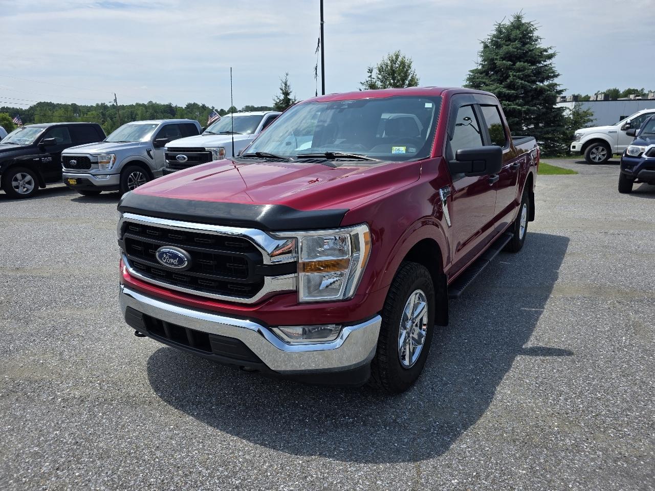 Ford F-150 SuperCrew 139" XLT 4WD 2022