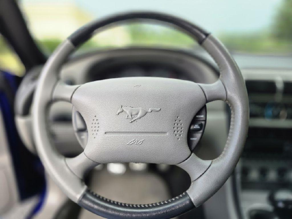 Ford Mustang GT Deluxe Coupe 2004