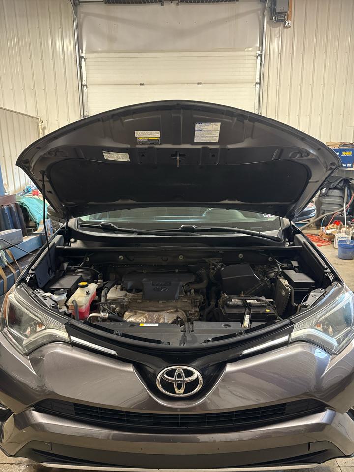 Toyota RAV4 AWD 4dr XLE (Natl) 2016