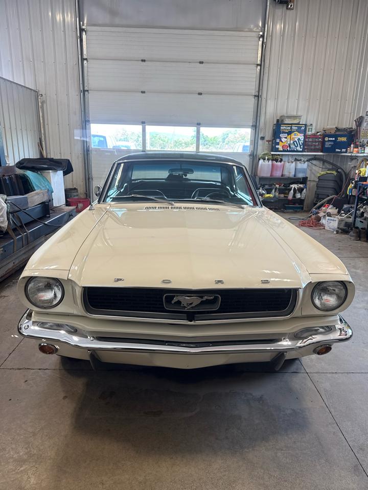 Ford MUSTANG GT  1966